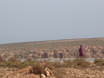 DSCN3413 Here it is: my best Moroccan photo. Now go look at the other ones...